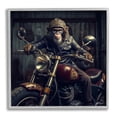 thumbnail image 1 of Stupell Industries Gorilla Motorcycle Portrait Animals & Insects Painting Gray Framed Art Print Wall Art, 12 x 12, 1 of 9