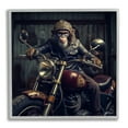 thumbnail image 1 of Stupell Industries Gorilla Motorcycle Portrait Animals & Insects Painting Gray Framed Art Print Wall Art, 24 x 24, 1 of 9
