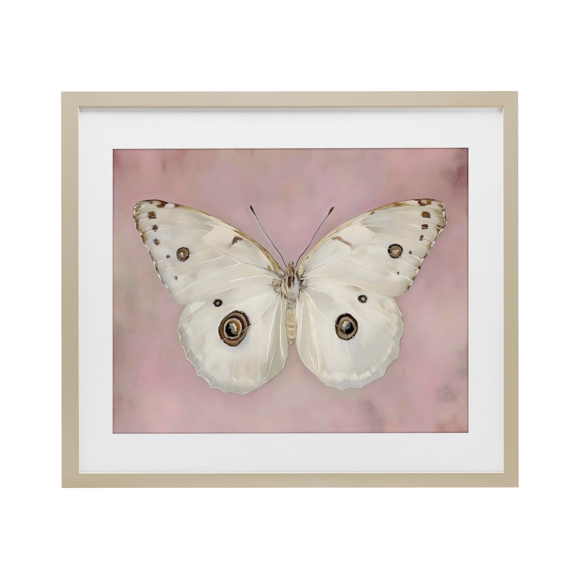 Stupell Industries Gossamer Butterfly on Blush Background Birch Framed Print Under Glass, design by Arlington Prints