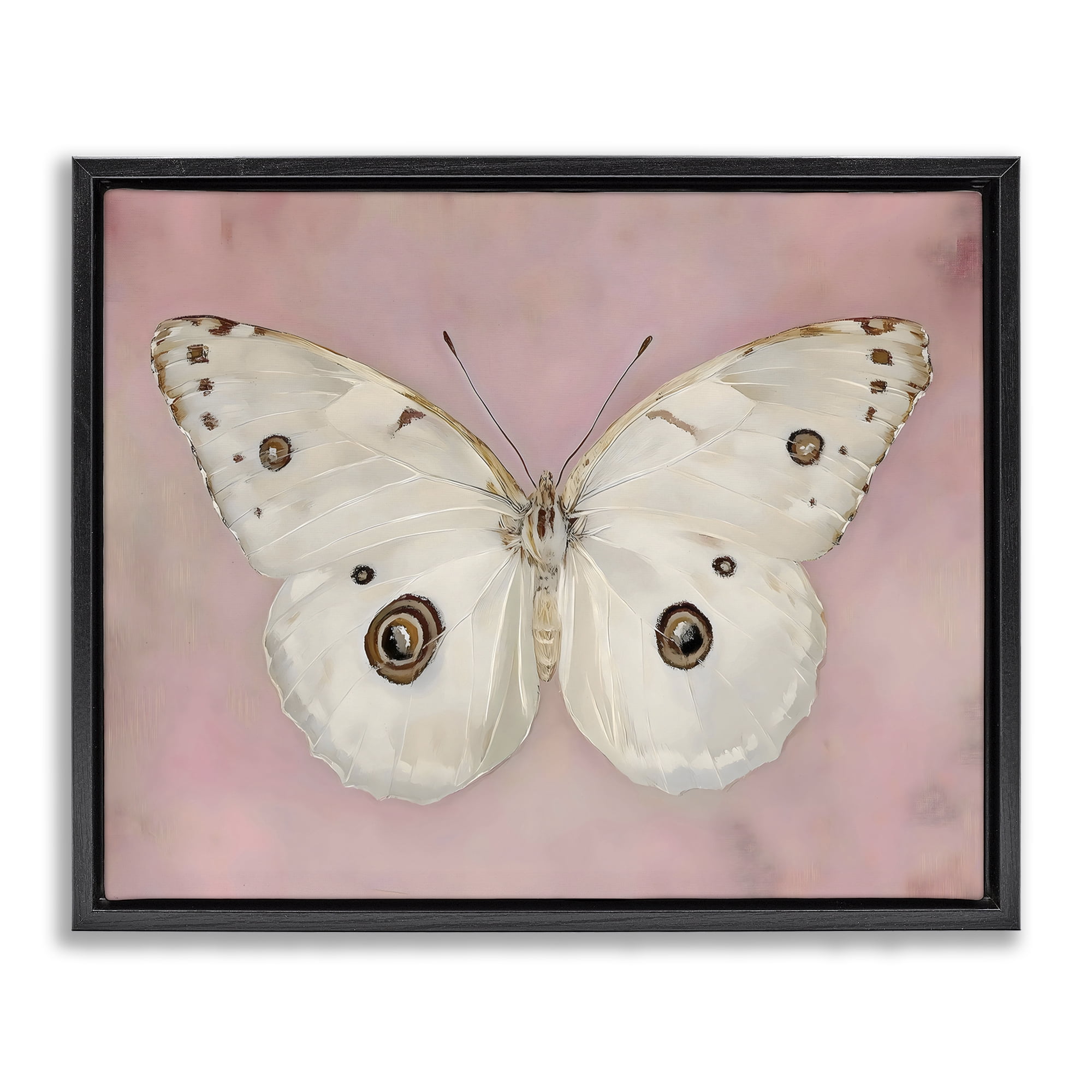 Stupell Industries Gossamer Butterfly on Blush Background Black Framed Floater Canvas Wall Art, design by Arlington Prints