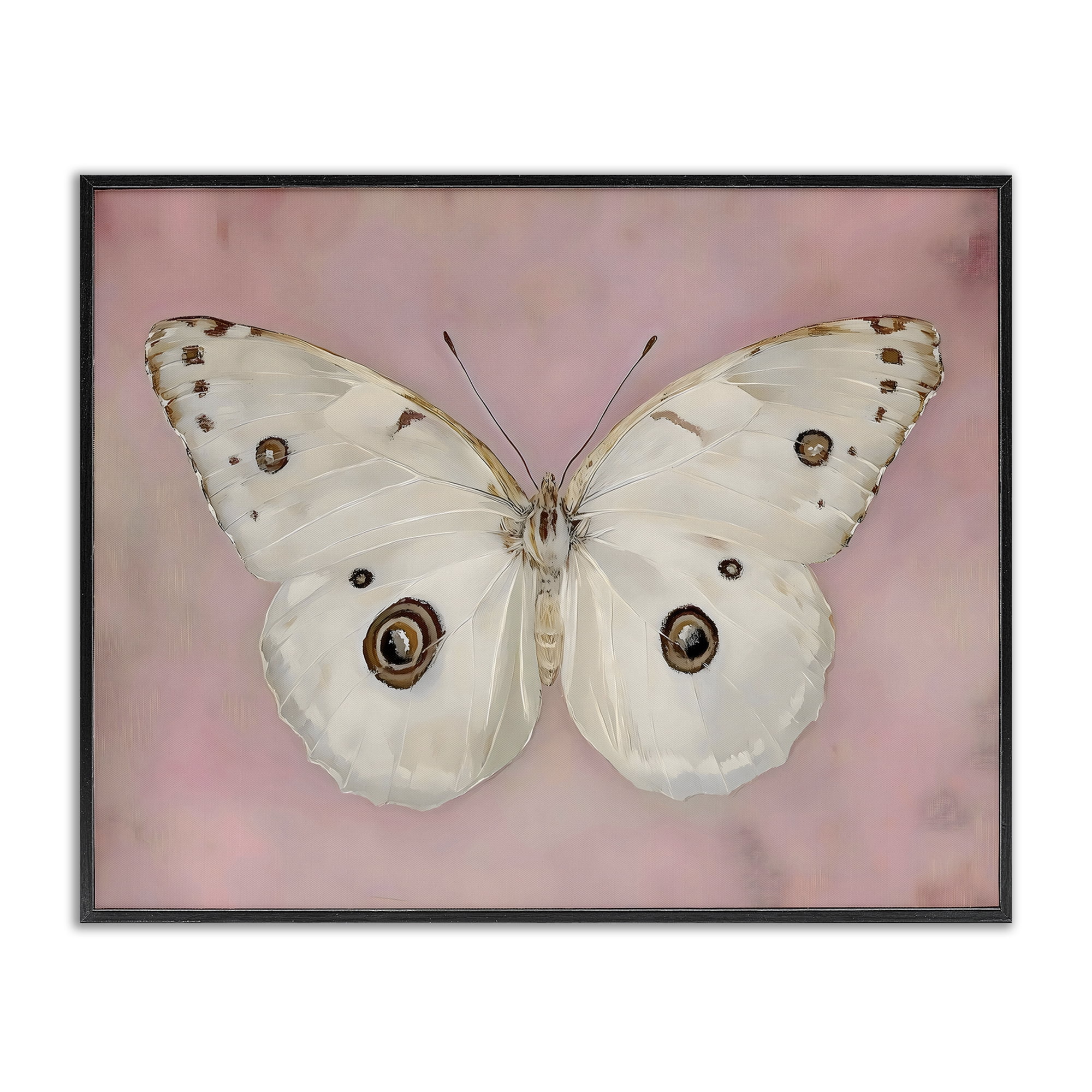 Stupell Industries Gossamer Butterfly on Blush Background Black Framed Giclee Art, design by Arlington Prints