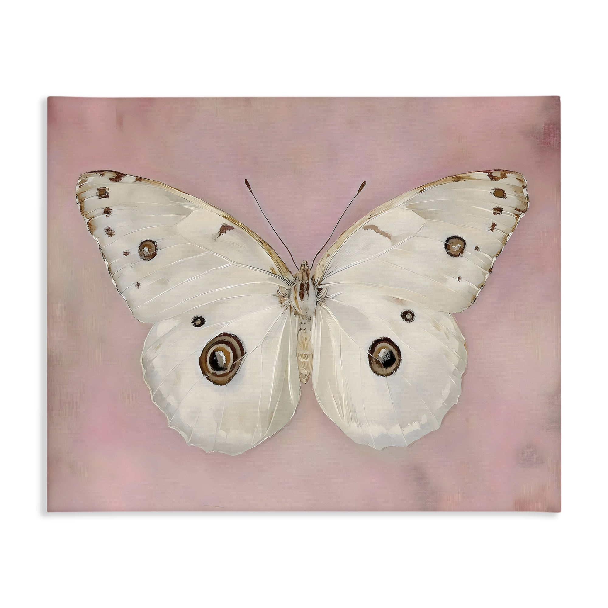 Stupell Industries Gossamer Butterfly on Blush Background Canvas Wall Art, design by Arlington Prints