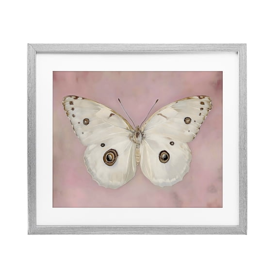 Stupell Industries Cottage Gossamer Butterfly on Blush Background Gray Framed Print Under Glass, 16 x 13, by Arlington Prints