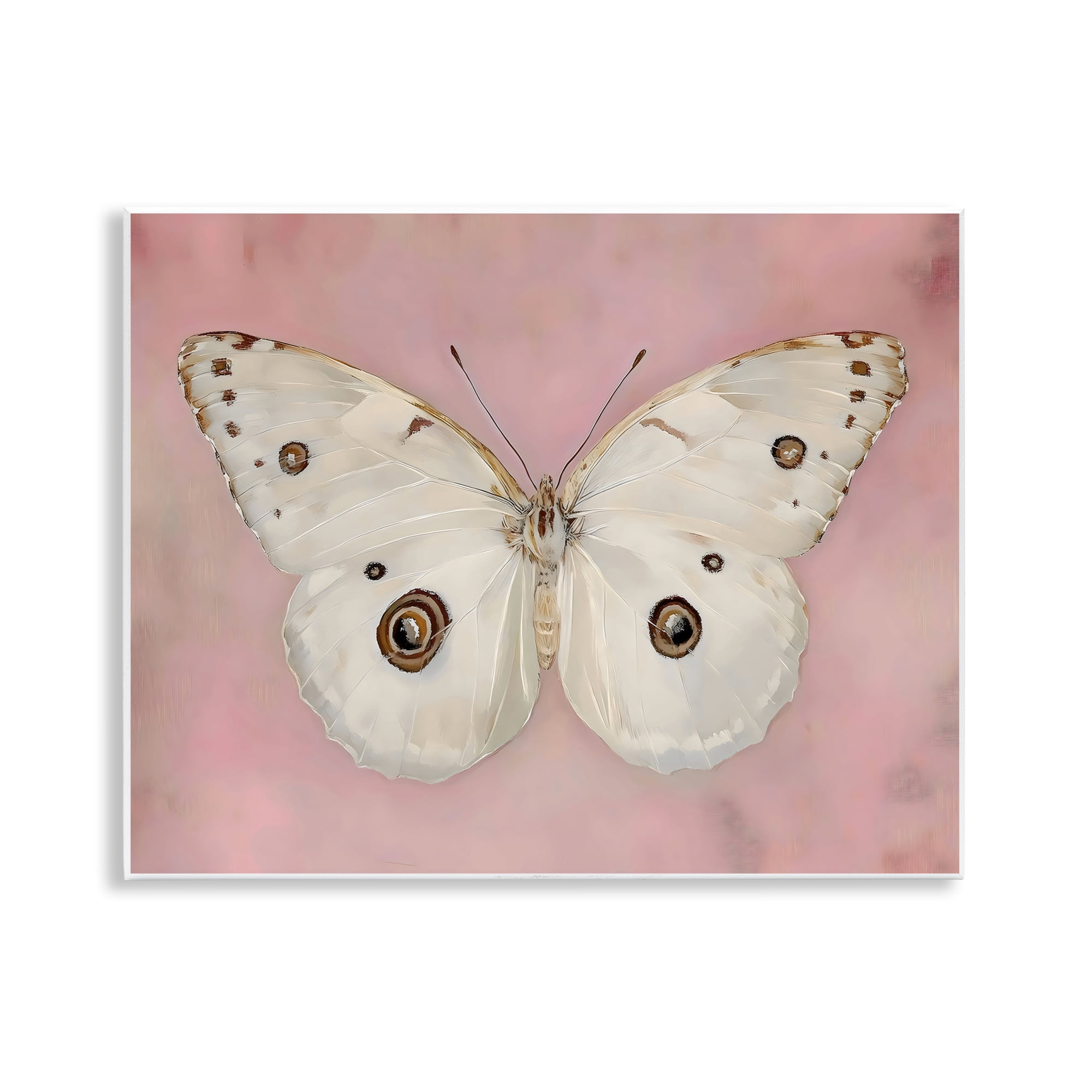 Stupell Industries Gossamer Butterfly on Blush Background Wall Plaque Art, design by Arlington Prints