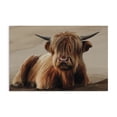 thumbnail image 1 of Stupell Industries Rustic Lodge Got My Hair Done Cattle Canvas Art, 24 x 16, by Renel Peters, 1 of 8