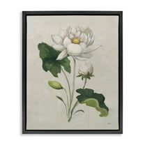 Stupell Industries Graceful Budding Lily Plants & Flowers Painting Black Floater Framed Canvas Art Print Wall Art, 17 x 21