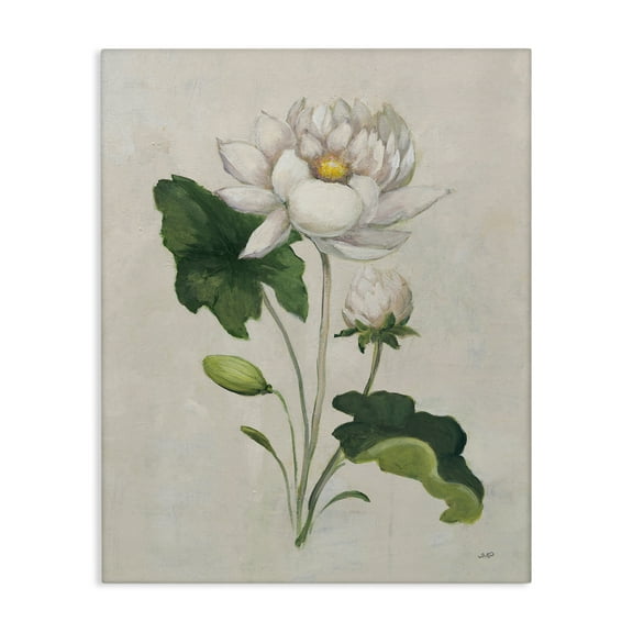 Stupell Industries Graceful Budding Lily Plants & Flowers Painting Wrapped Canvas Art Print Wall Art, 24 x 30