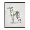 thumbnail image 1 of Stupell Industries French Country Graceful Dog & Ribbon Black Framed Giclee Art, 24 x 30, by Elizabeth Medley, 1 of 8