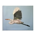thumbnail image 1 of Stupell Industries Graceful Egret Flying Animals & Insects Painting Gallery Wrapped Canvas Art Print Wall Art, 30 x 24, 1 of 8