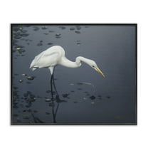 Stupell Industries Graceful Egret in Lake Animals & Insects Painting Black Framed Art Print Wall Art, 14 x 11