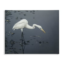 Stupell Industries Graceful Egret in Lake Animals & Insects Painting Gallery Wrapped Canvas Art Print Wall Art, 20 x 16