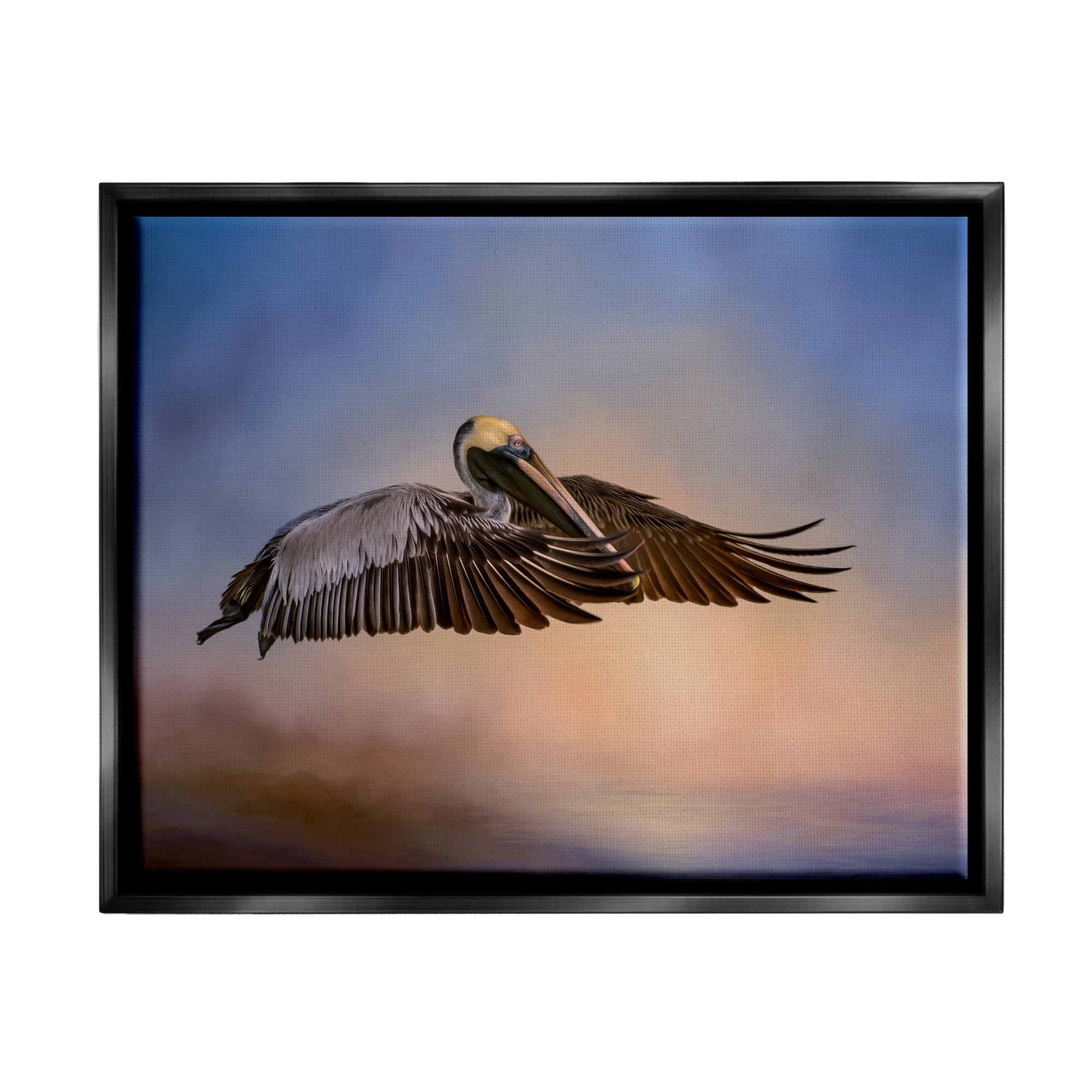 Stupell Industries Graceful Flyer Pelican Portrait Animals & Insects Photography Black Floater Framed Art Print Wall Art, 21 x 17