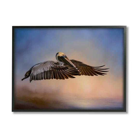 Stupell Industries Graceful Flyer Pelican Portrait Animals & Insects Photography Black Framed Art Print Wall Art, 14 x 11