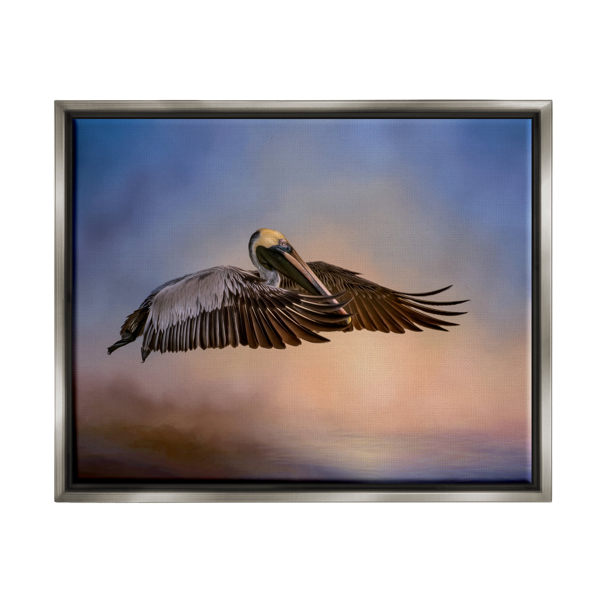 Stupell Industries Graceful Flyer Pelican Portrait Animals & Insects Photography Gray Floater Framed Art Print Wall Art, 31 x 25