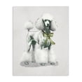 thumbnail image 1 of Stupell Industries Transitional Graceful Poodle & Ribbon Canvas Art, 16 x 20, by Elizabeth Medley, 1 of 8