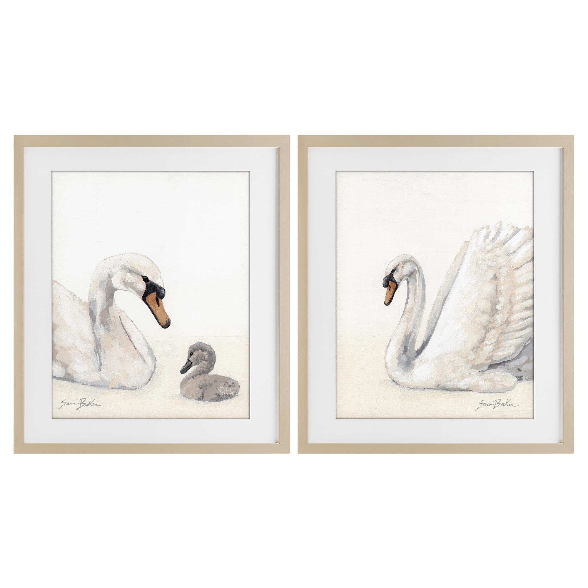 Stupell Industries Graceful Swan & Cygnet 2 Piece Birch Framed Print Under Glass Set, design by Sara Baker