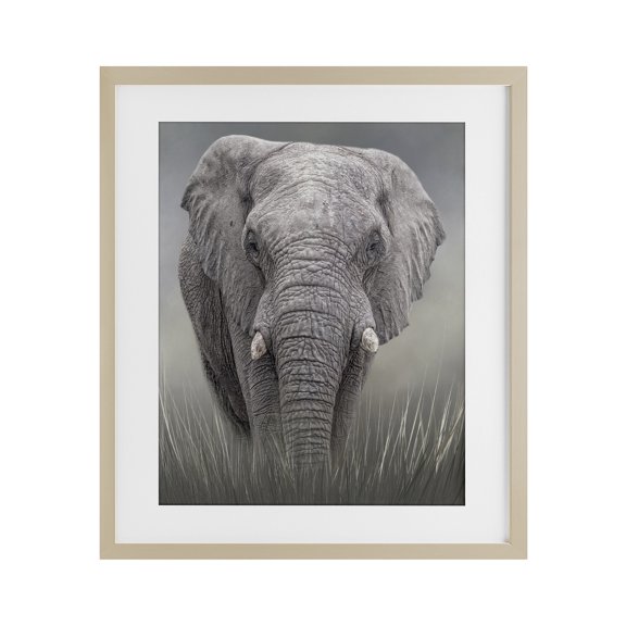 Stupell Industries Graceful Titan Elephant Birch Framed Print Under Glass design by Kelley Parker, 21 x 17