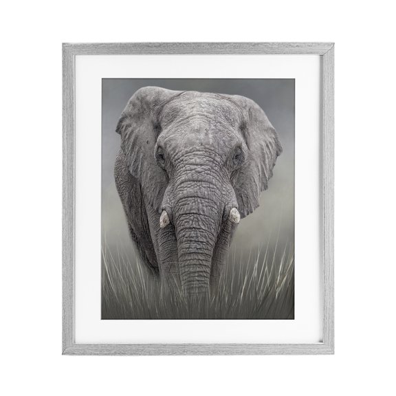 Stupell Industries Graceful Titan Elephant Gray Framed Print Under Glass design by Kelley Parker, 21 x 17