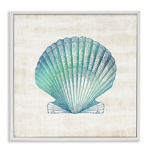 Stupell Industries Gradient Clam Seashell Animals Painting White Framed Art Print Wall Art, 12 x 12