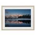thumbnail image 1 of Stupell Industries Grand Morning View Birch Framed Print Under Glass, design by Jared Kreiss, 1 of 9