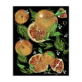 thumbnail image 1 of Stupell Industries Farmhouse Grapefruit & Ferns Medley Canvas Art, 36 x 48, by Susan Lugar, 1 of 8
