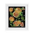 thumbnail image 1 of Stupell Industries Farmhouse Grapefruit & Ferns Medley White Framed Print Under Glass, 13 x 16, by Susan Lugar, 1 of 8