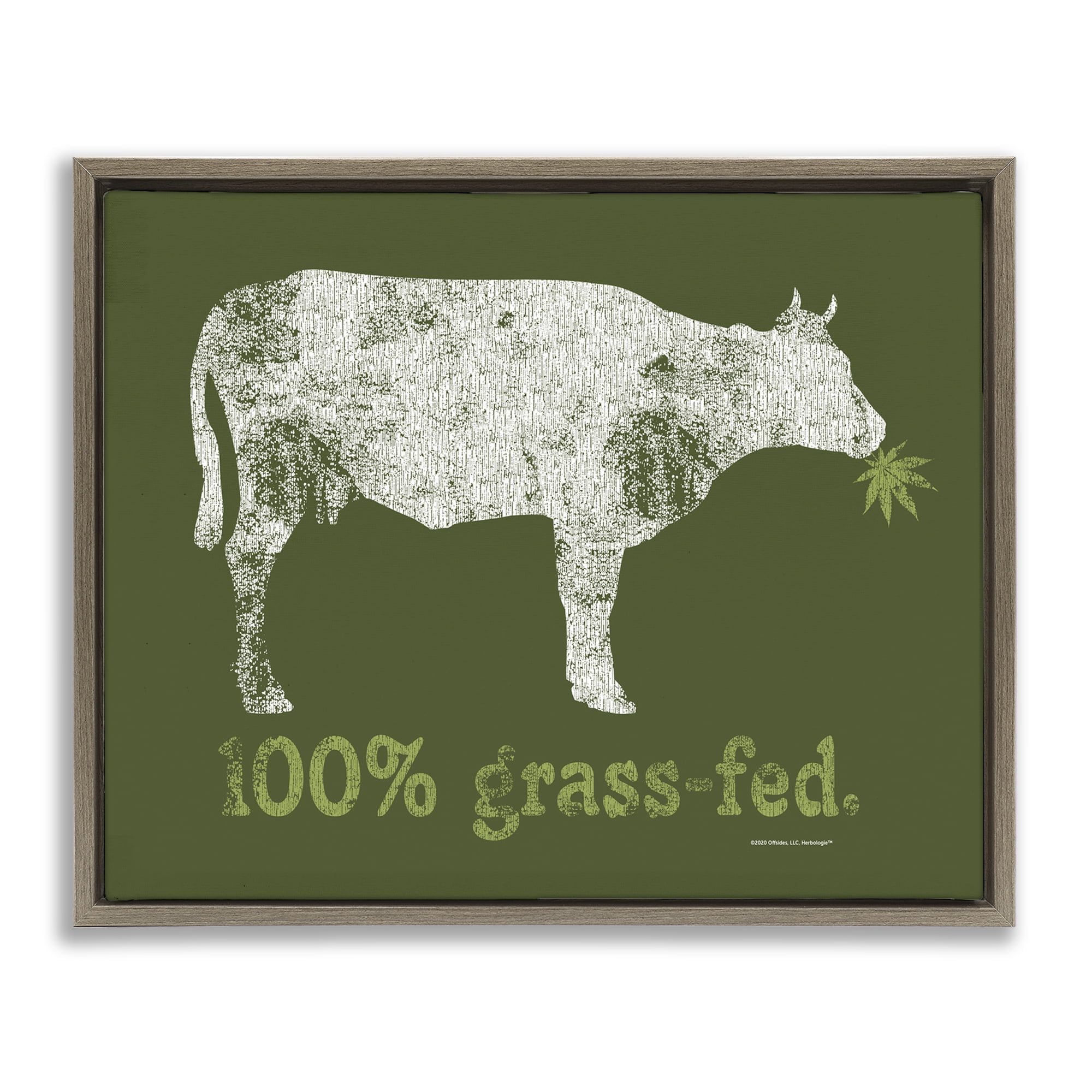 Stupell Industries Grass Fed Cow Animals Painting Brown Floater Framed Canvas Art Print Wall Art, 31 x 25