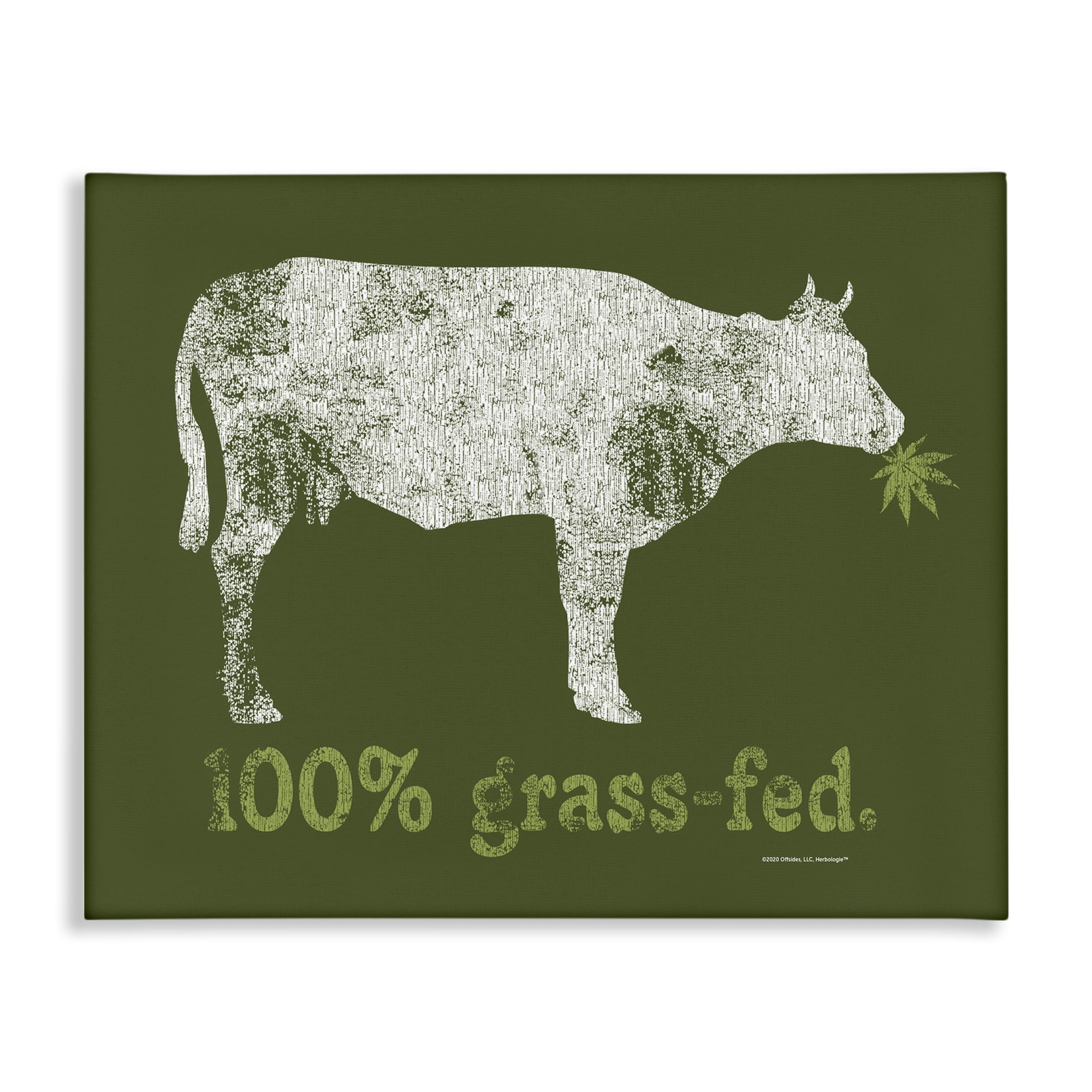 Stupell Industries Grass Fed Cow Animals Painting Wrapped Canvas Art Print Wall Art, 48 x 36