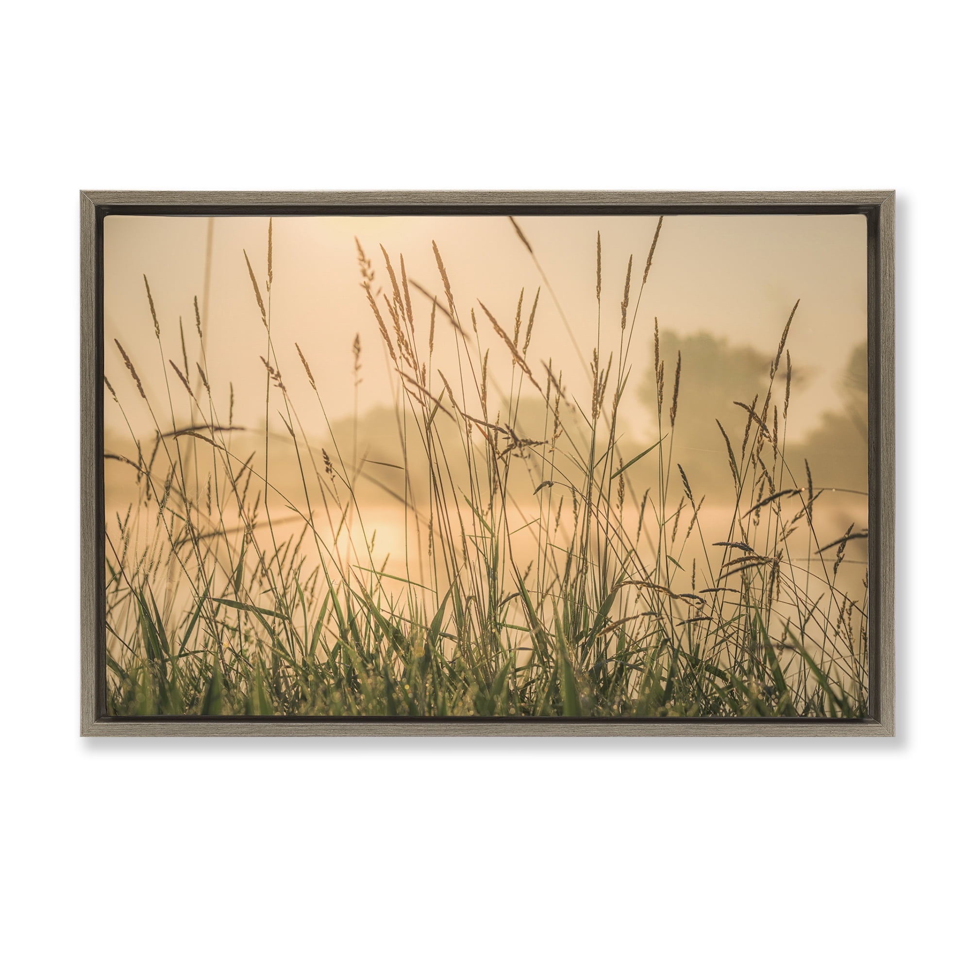 Stupell Industries Grassy Country Reeds Landscape & Nature Photography Brown Floater Framed Canvas Art Print Wall Art, 25 x 17