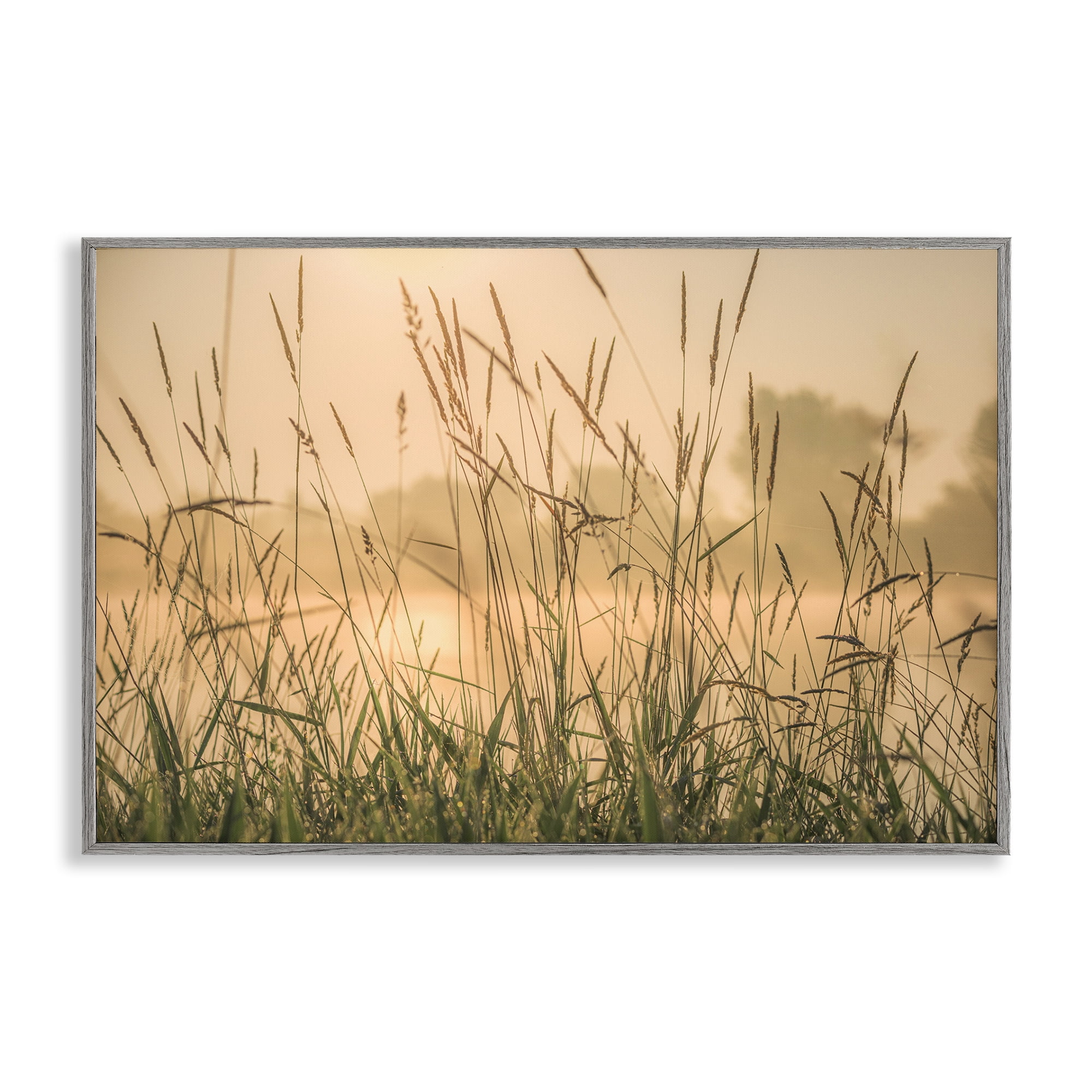 Stupell Industries Grassy Country Reeds Landscape & Nature Photography Gray Framed Art Print Wall Art, 18 x 12