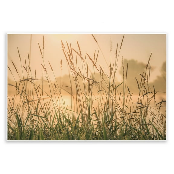 Stupell Industries Grassy Country Reeds Landscape & Nature Photography Unframed Art Print Wall Art, 15 x 10