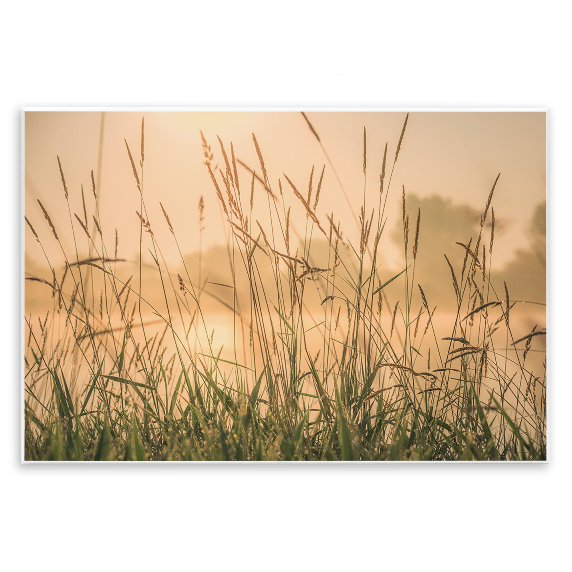 Stupell Industries Grassy Country Reeds Landscape & Nature Photography Unframed Art Print Wall Art, 19 x 13