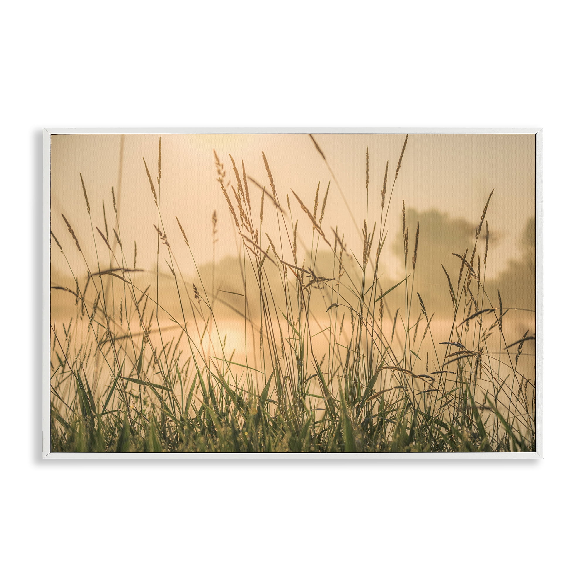 Stupell Industries Grassy Country Reeds Landscape & Nature Photography White Framed Art Print Wall Art, 24 x 16