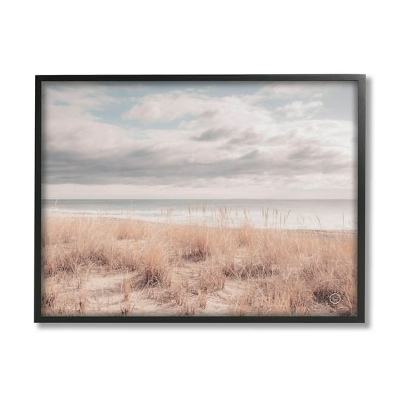 Stupell Industries Grassy Ocean Shore Horizon Photograph Black Framed Art Print Wall Art, Design by Nathan Larson