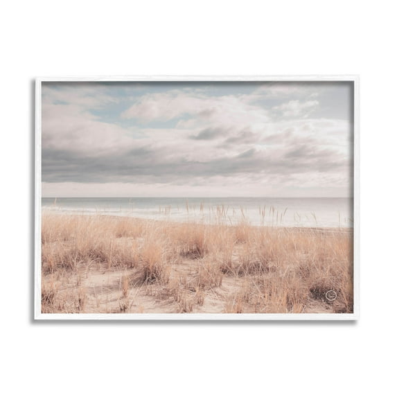 Stupell Industries Grassy Ocean Shore Horizon Photograph White Framed Art Print Wall Art, Design by Nathan Larson