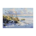 thumbnail image 1 of Stupell Industries Coastal Grassy Sand Dunes Beach Canvas Art, 24 x 16, by Gina Kelly, 1 of 8