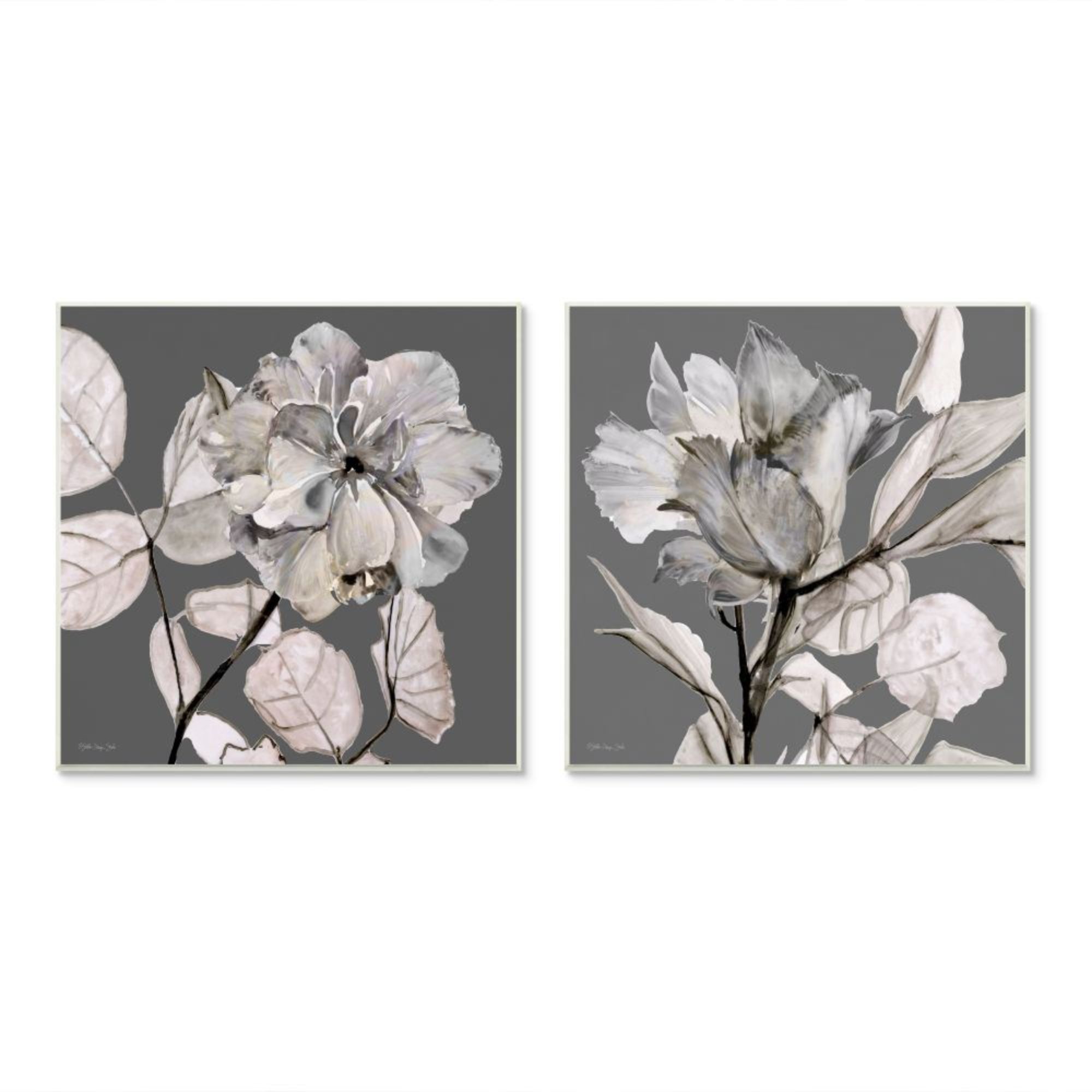 Stupell Industries Gray Floral Close Up with Neutral Flowers Design by Stellar Design Studio