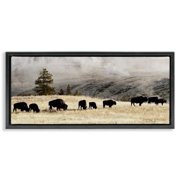 Stupell Industries Grazing Bison Foggy Countryside Animals & Insects Photography Black Floater Framed Canvas Art Print Wall Art, 25 x 11
