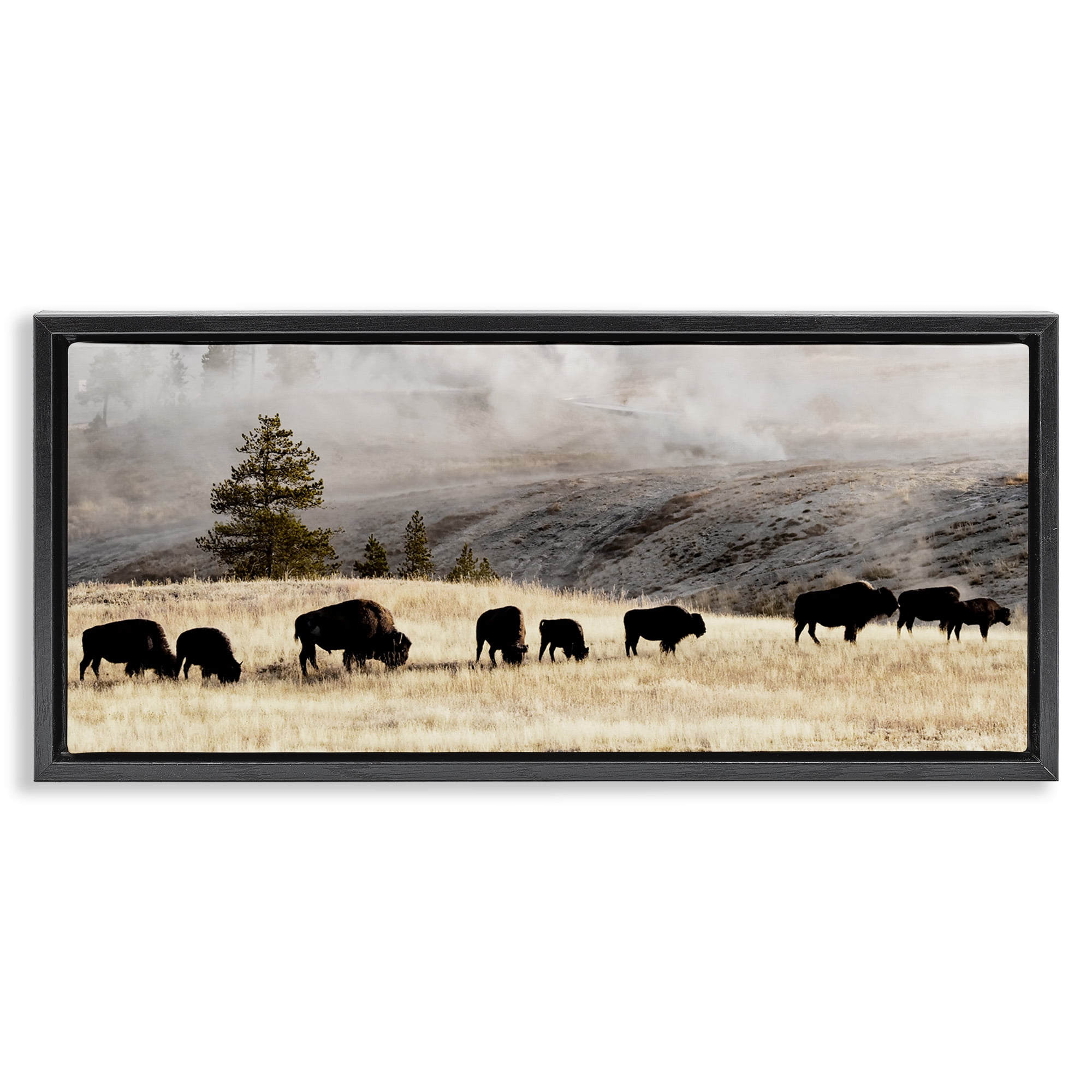 Stupell Industries Grazing Bison Foggy Countryside Animals & Insects Photography Black Floater Framed Canvas Art Print Wall Art, 31 x 14