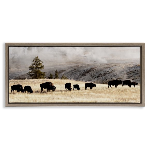 Stupell Industries Grazing Bison Foggy Countryside Animals & Insects Photography Brown Floater Framed Canvas Art Print Wall Art, 25 x 11