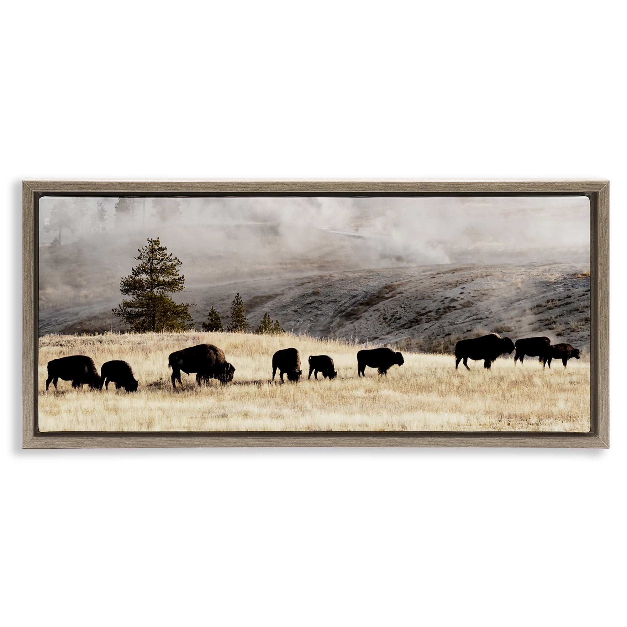 Stupell Industries Grazing Bison Foggy Countryside Animals & Insects Photography Brown Floater Framed Canvas Art Print Wall Art, 31 x 14