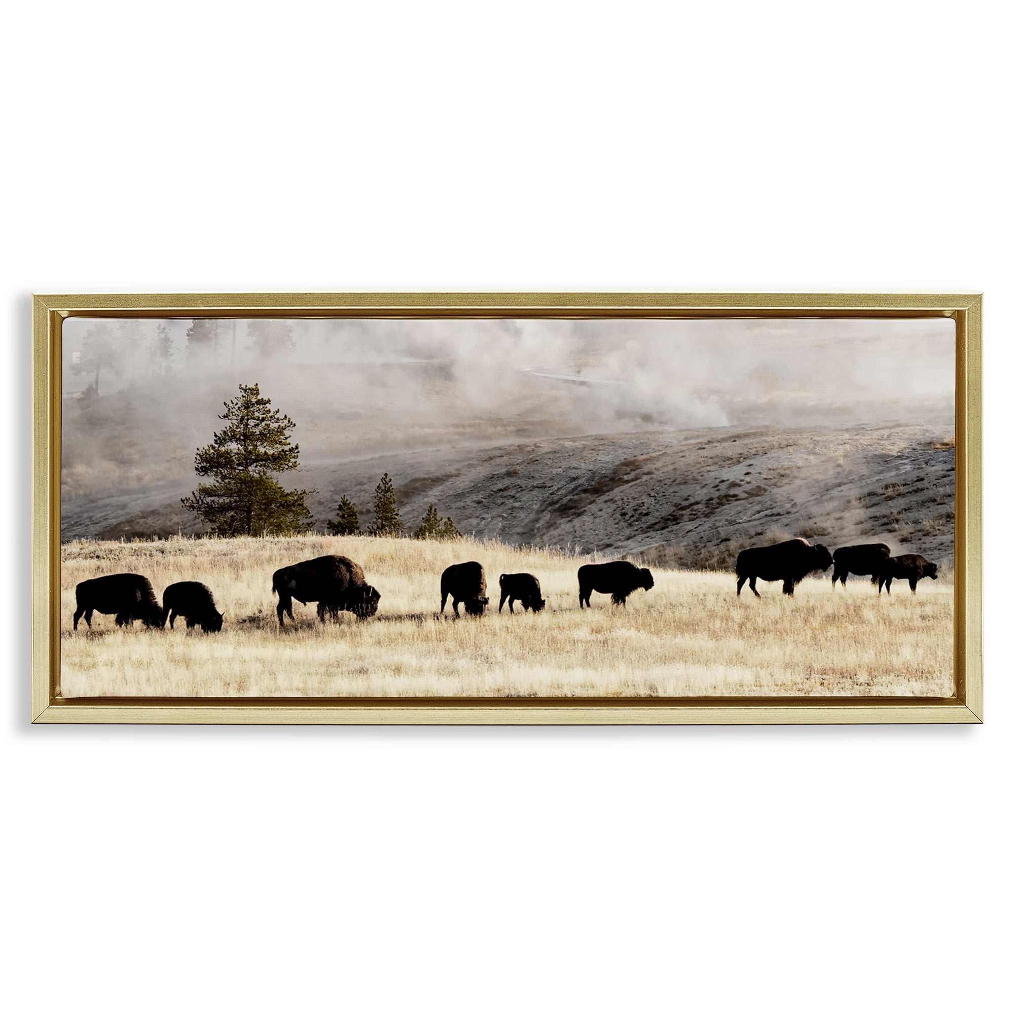 Stupell Industries Grazing Bison Foggy Countryside Animals & Insects Photography Gold Floater Framed Canvas Art Print Wall Art, 25 x 11