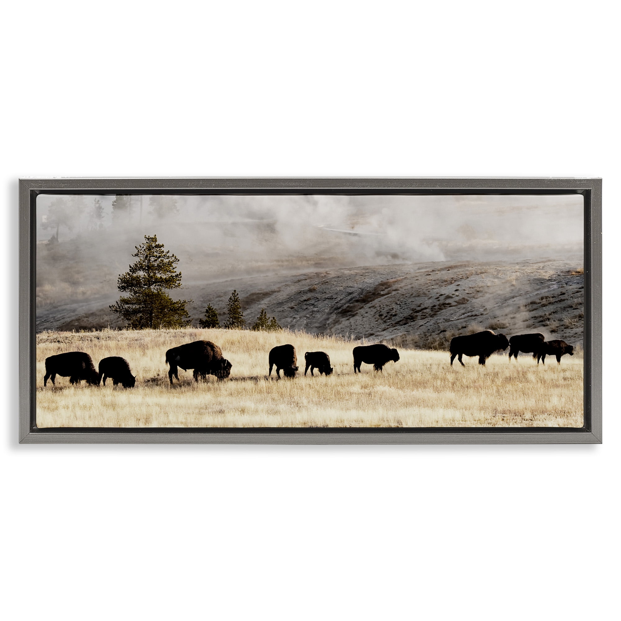Stupell Industries Grazing Bison Foggy Countryside Animals & Insects Photography Gray Floater Framed Canvas Art Print Wall Art, 31 x 14
