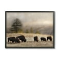 thumbnail image 1 of Stupell Industries Grazing Bison Rural Grassland Meadow Panoramic Scene Photograph Black Framed Art Print Wall Art, Design by Danita Delimont, 1 of 5