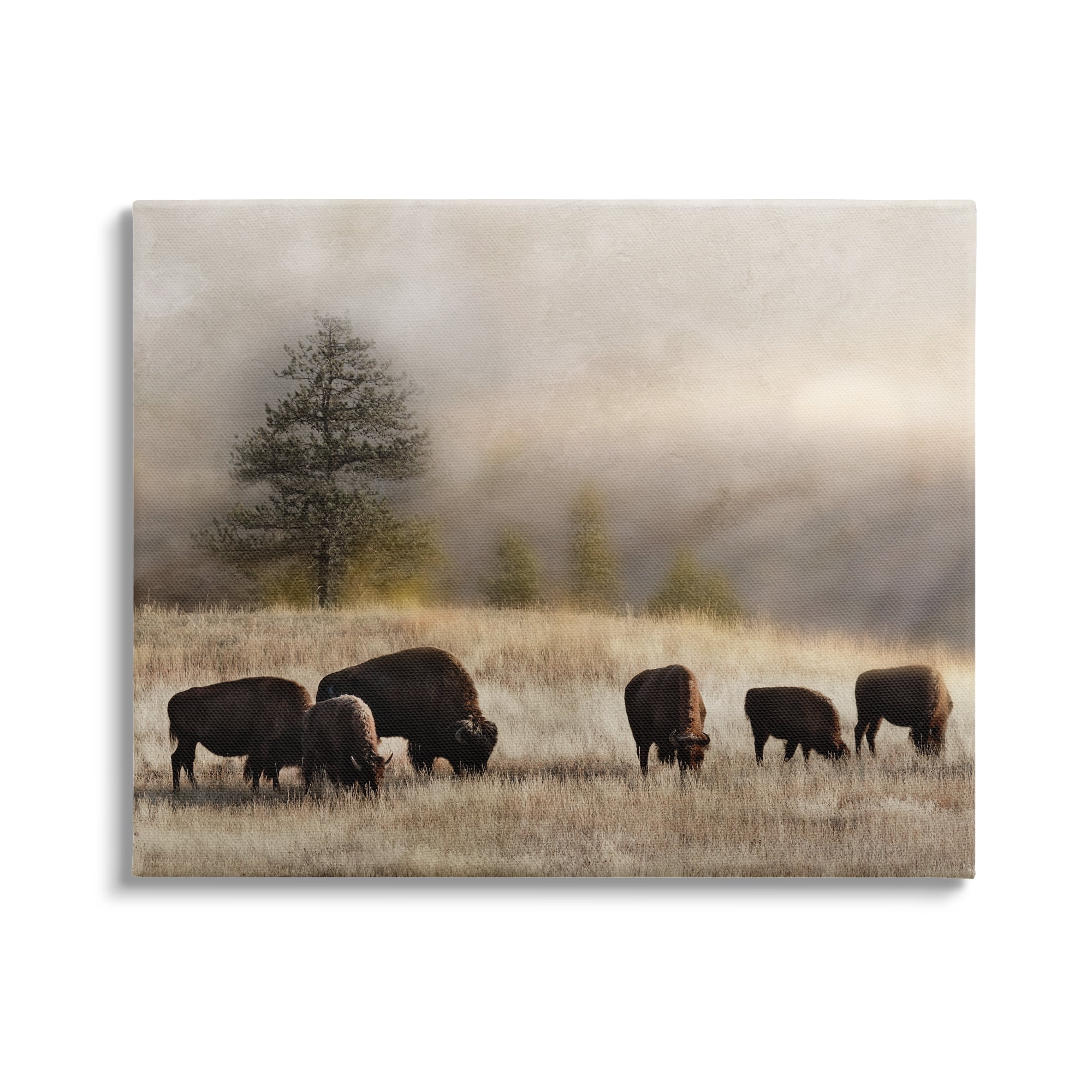 Stupell Industries Grazing Bison Rural Grassland Meadow Panoramic Scene Photograph Gallery Wrapped Canvas Print Wall Art, Design by Danita Delimont