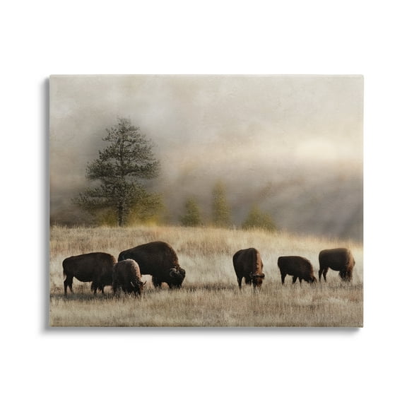 Stupell Industries Grazing Bison Rural Grassland Meadow Panoramic Scene Photograph Gallery Wrapped Canvas Print Wall Art, Design by Danita Delimont