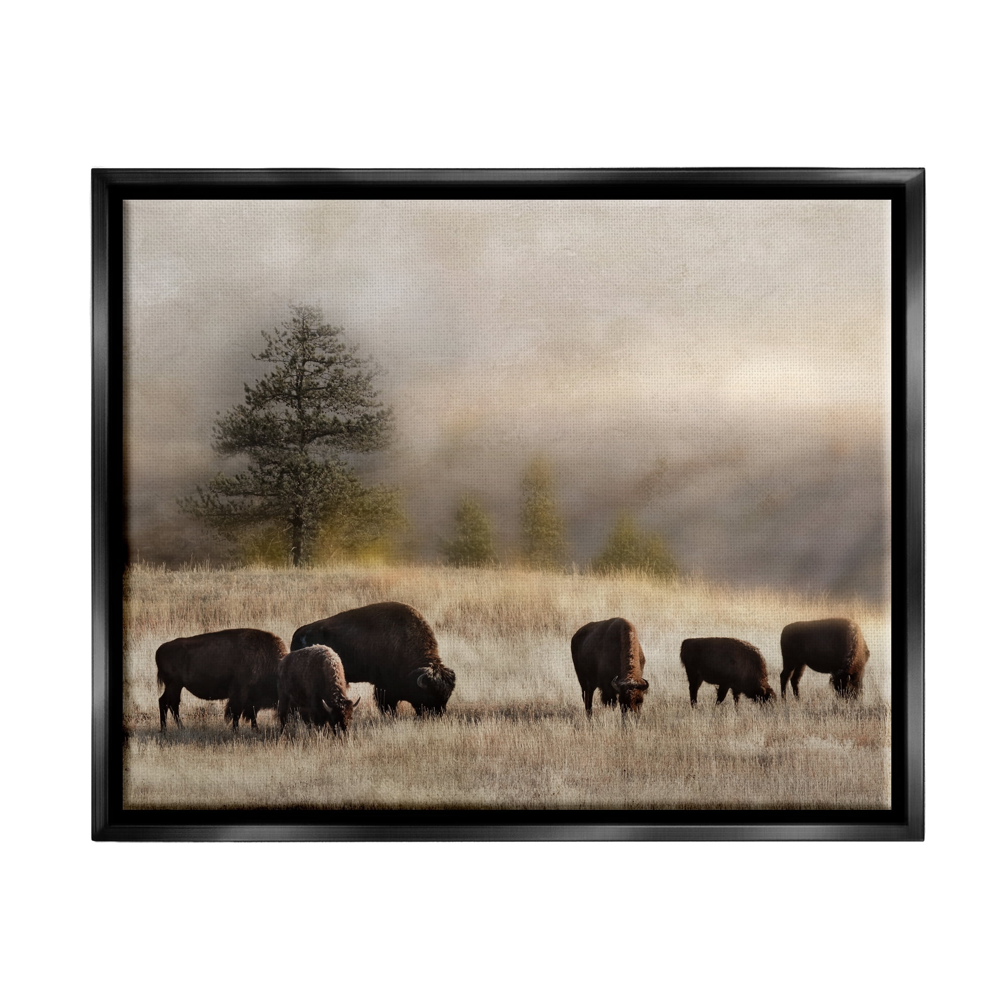 Stupell Industries Grazing Bison Rural Grassland Meadow Panoramic Scene Photograph Jet Black Floating Framed Canvas Print Wall Art, Design by Danita Delimont