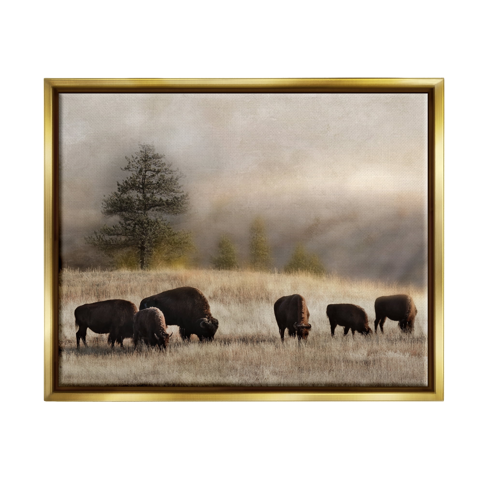 Stupell Industries Grazing Bison Rural Grassland Meadow Panoramic Scene Photograph Metallic Gold Floating Framed Canvas Print Wall Art, Design by Danita Delimont