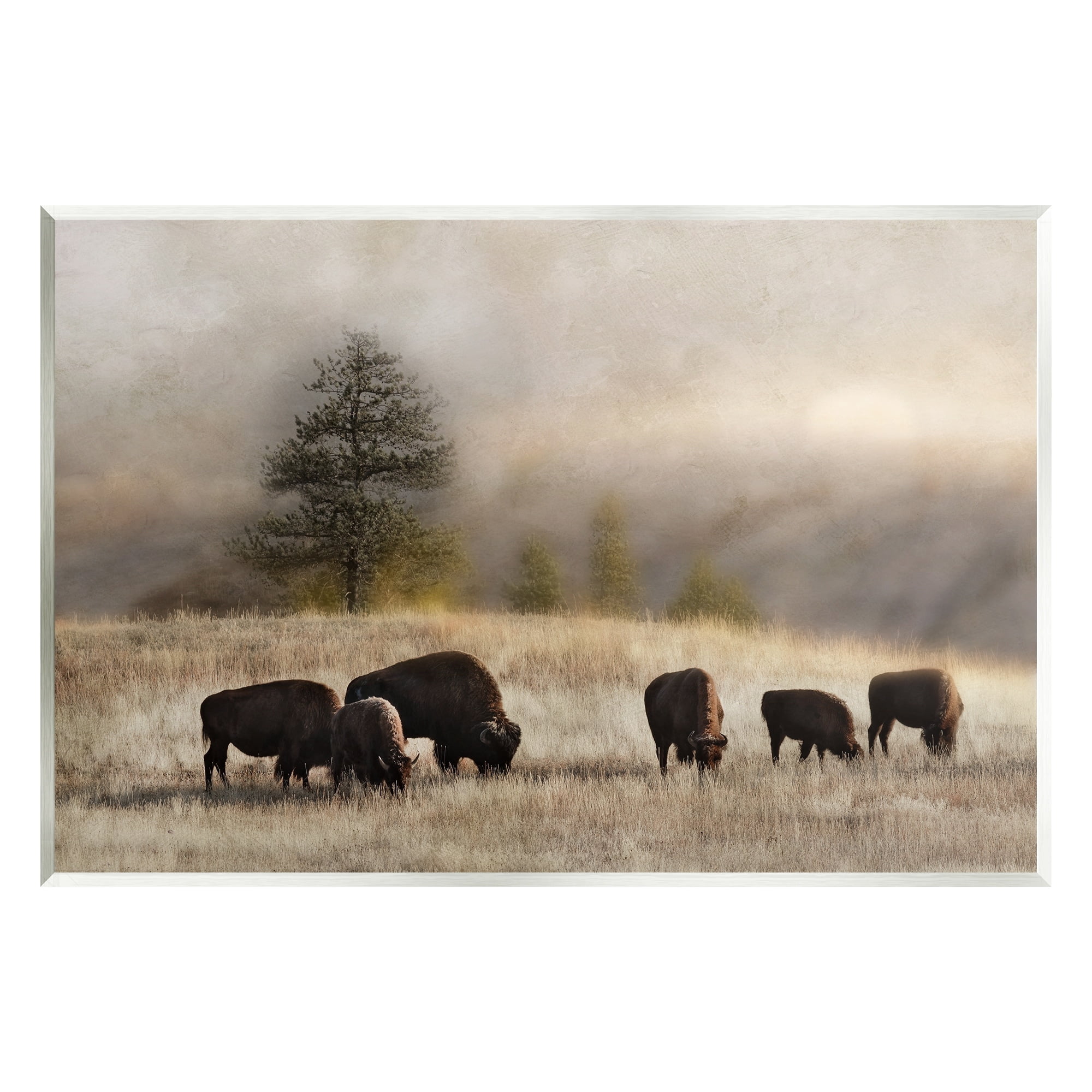 Stupell Industries Grazing Bison Rural Grassland Meadow Panoramic Scene Photograph Unframed Art Print Wall Art, Design by Danita Delimont