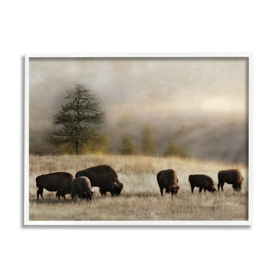 Stupell Industries Grazing Bison Rural Grassland Meadow Panoramic Scene Photograph White Framed Art Print Wall Art, Design by Danita Delimont